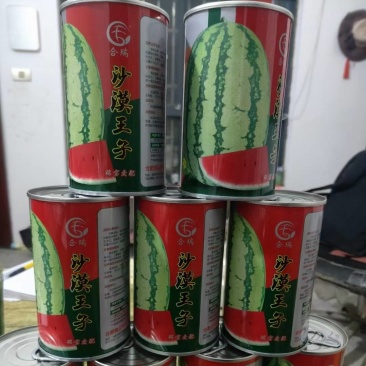 沙漠王子，西瓜种子，大红壤，口感甜脆，个头均匀，易管理。