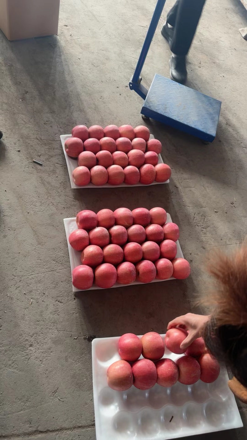 底价苹果，赶紧来