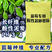 蓝莓专用基质100升酸性泥炭基质蓝莓栽培基质