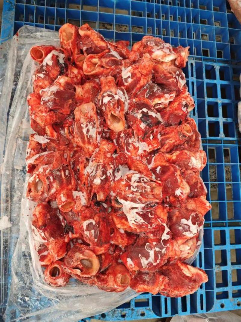 母猪喉头