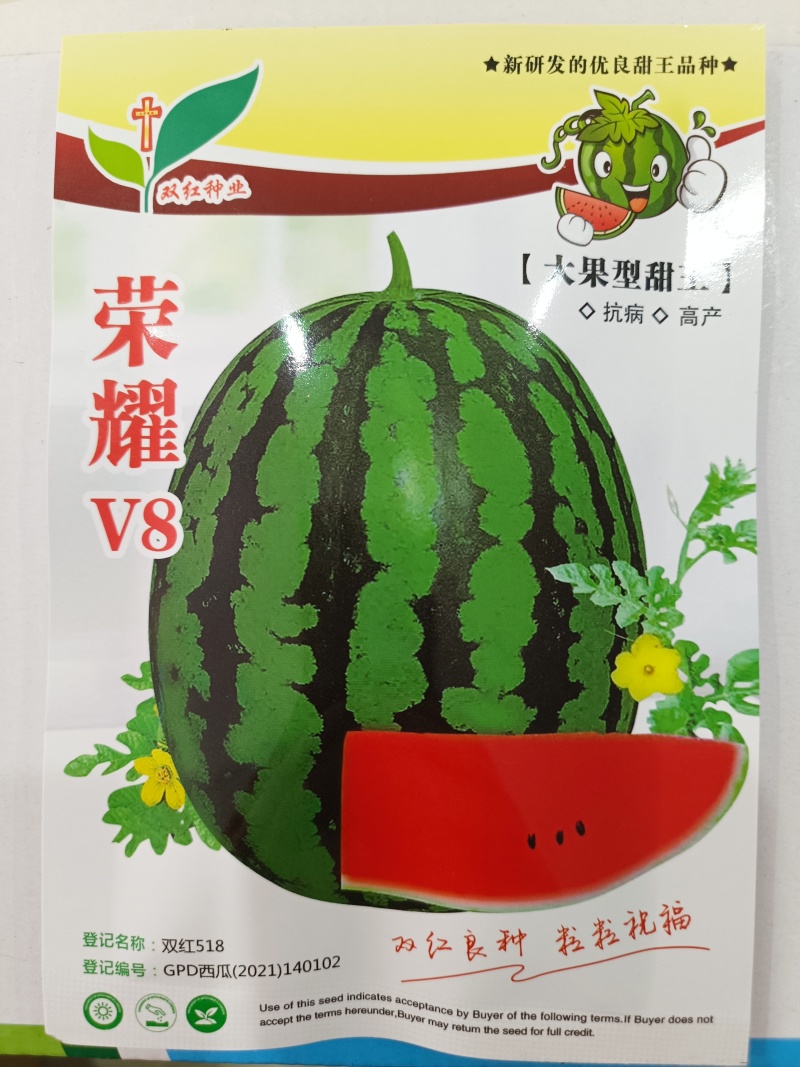 大果型甜王品种荣耀V8甜王西瓜种子抗病高产