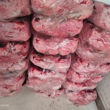 猪肺饲料级猪肺价格低水分小诚信经营全部发货物流冷链配送