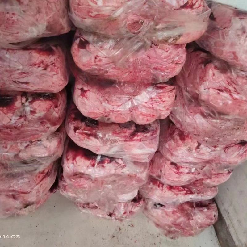 猪肺饲料级猪肺价格低水分小诚信经营全部发货物流冷链配送