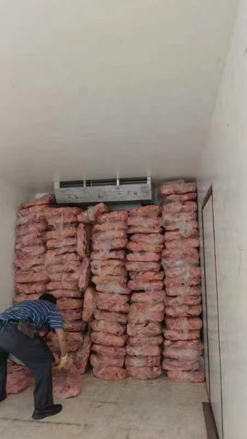 猪肺饲料级猪肺价格低水分小诚信经营全部发货物流冷链配送