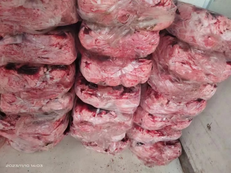 猪肺饲料级猪肺价格低水分小诚信经营全部发货物流冷链配送