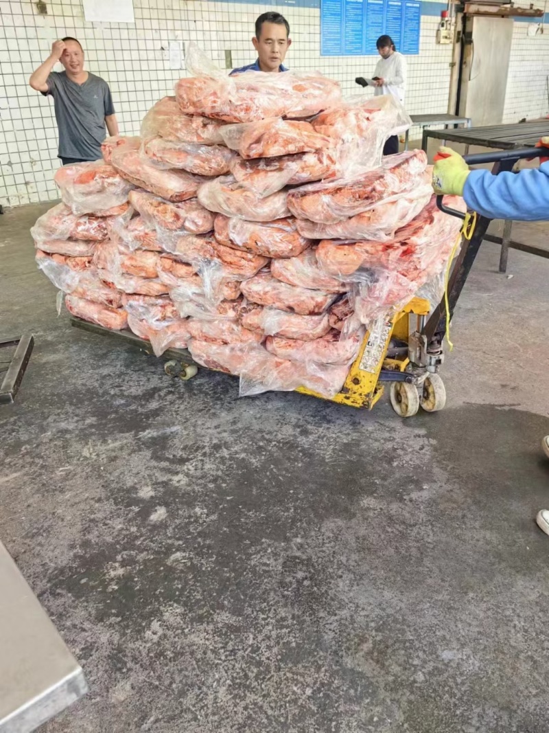 猪肺饲料级猪肺价格低水分小诚信经营全部发货物流冷链配送