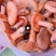 正宗枞树菌零污染纯绿色食品