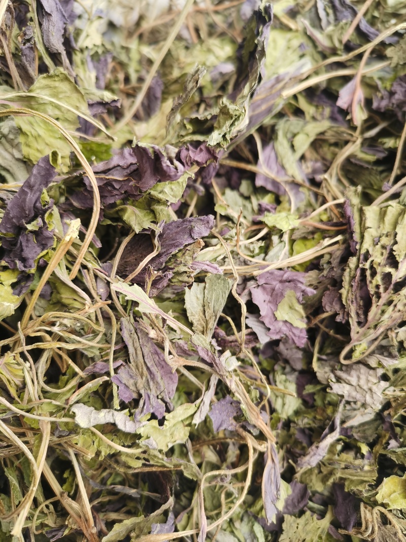 苏叶紫苏叶新货颜色好批发零售各种中药材