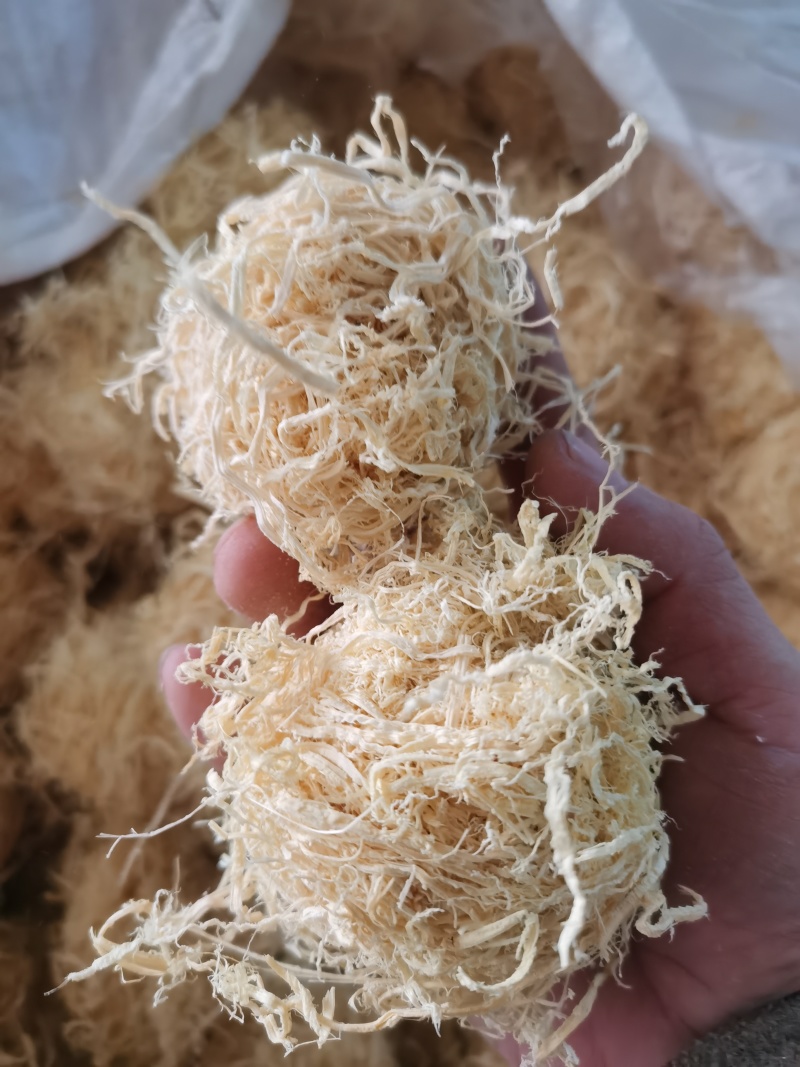 竹茹竹茹球手工竹茹球批发零售各种中药材