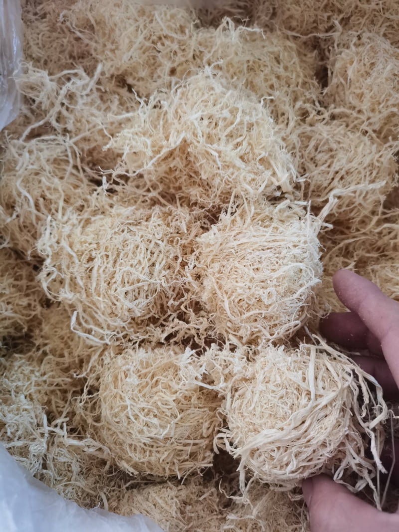 竹茹竹茹球手工竹茹球批发零售各种中药材