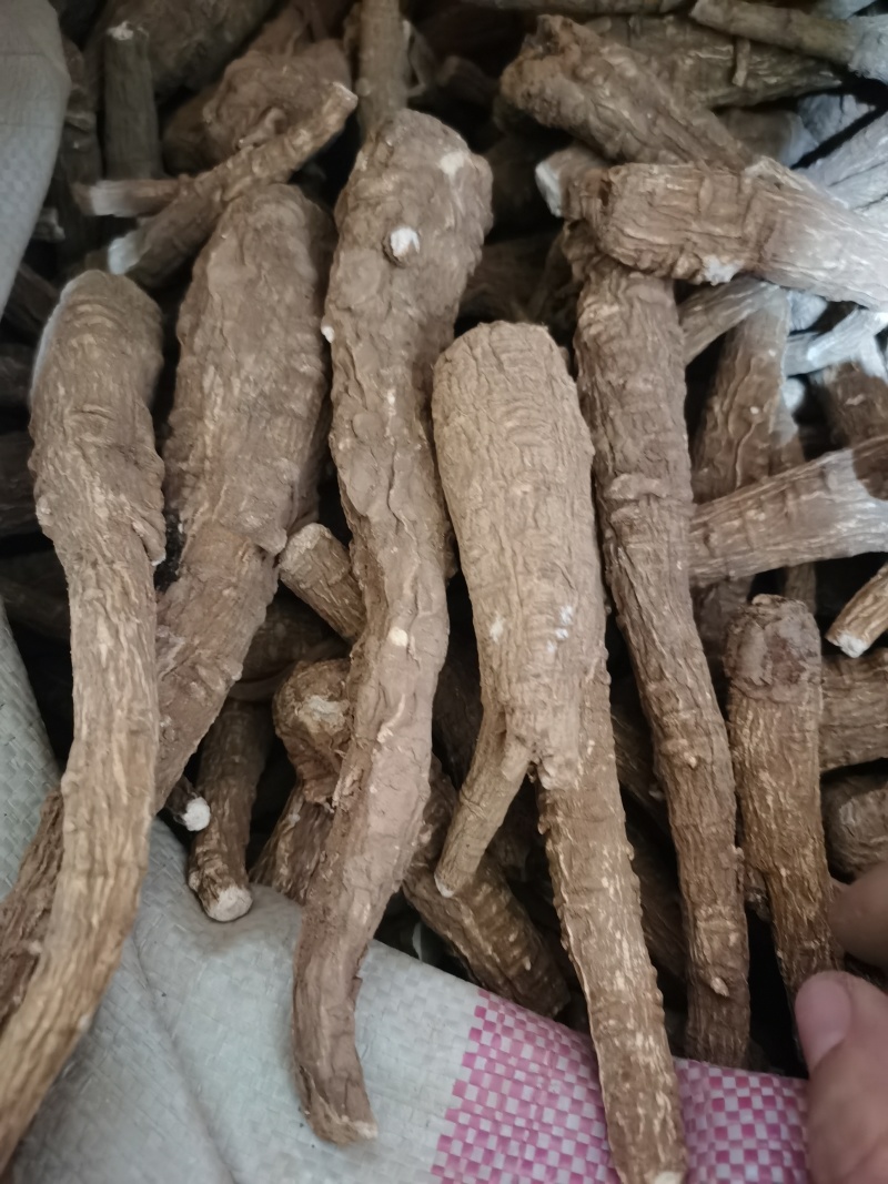 白芷川白芷个各种香料批发零售各种中药材