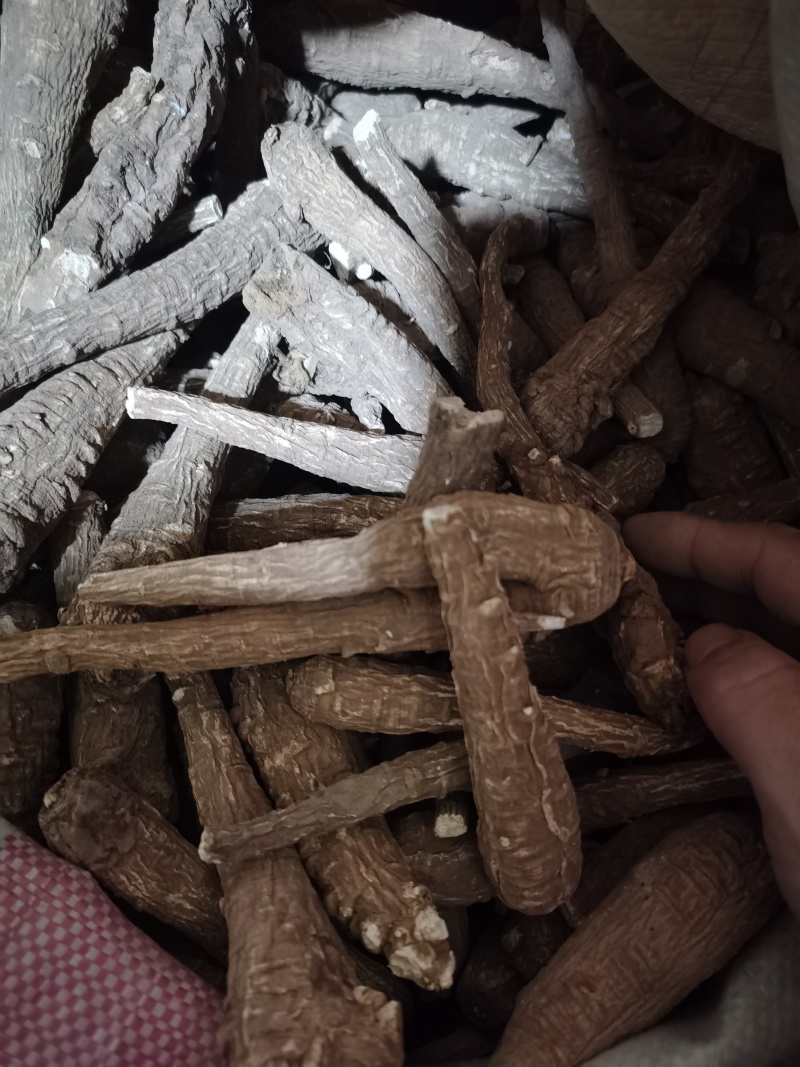 白芷川白芷个各种香料批发零售各种中药材