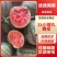 精品2k小糖丸西瓜,个头均匀现货直发,对接各大市场商超