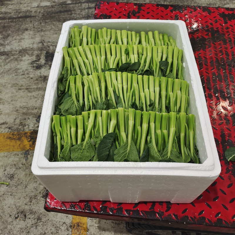 菜心