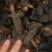 （傲宇药材）生地过筛无杂质诚信药材
