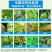 40%苯醚甲环唑挫锉杀菌剂农药农用杀菌药三唑杀菌内吸传导