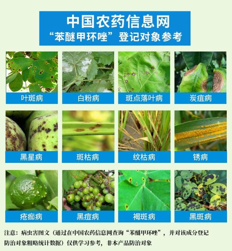 40%苯醚甲环唑挫锉杀菌剂农药农用杀菌药三唑杀菌内吸传导
