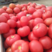 《实力商家》许昌优质西红柿一手货源充足量大从优欢迎选购