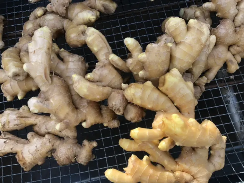河北生姜玉黄大姜鲜姜大量上市可视频看货欢迎咨询