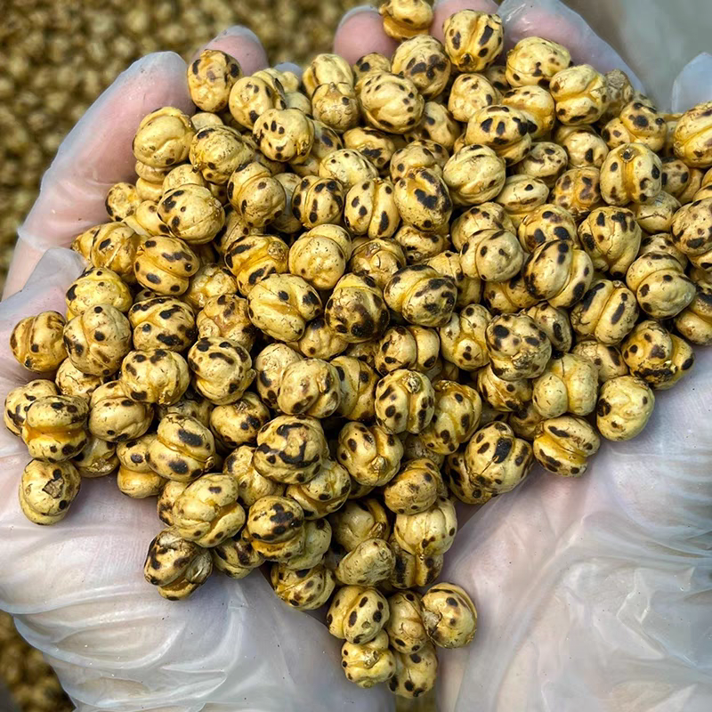 土耳其鹰嘴豆新疆特产炒制即食整件批发一件代发大颗粒20斤
