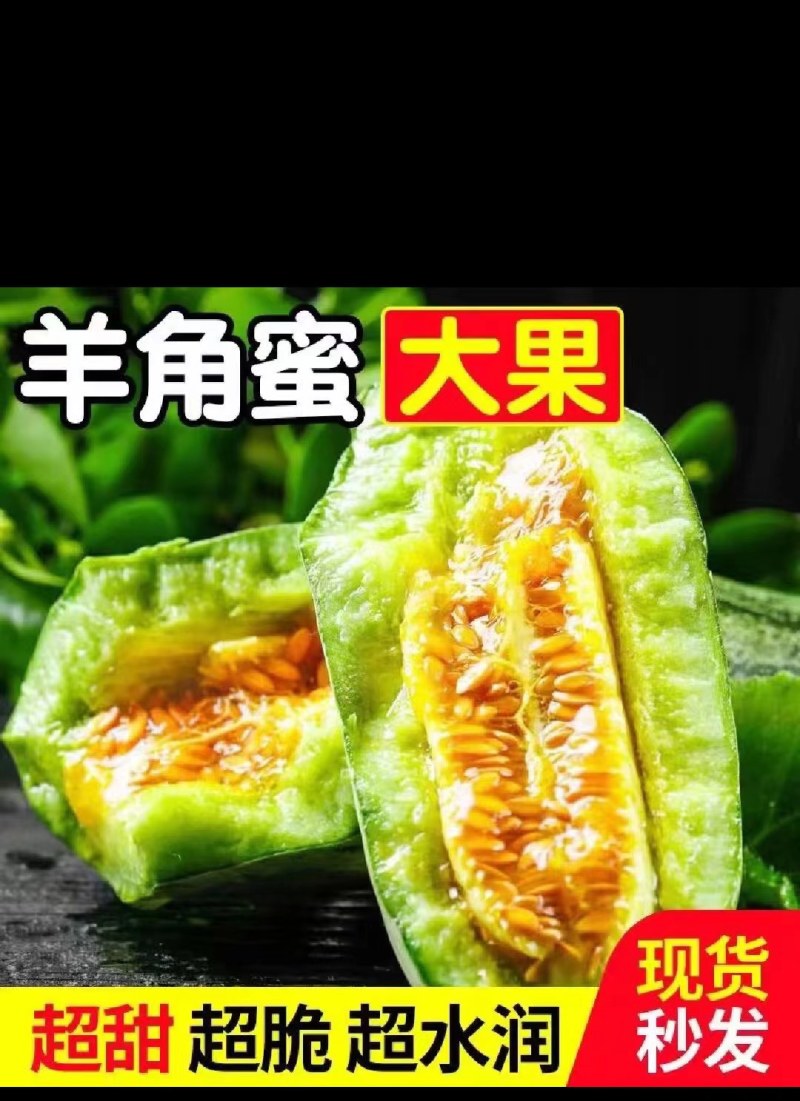 精品羊角蜜，甜瓜（一件代发）电商货社区团购对接各大平台！