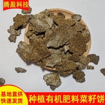 批发菜籽饼钓鱼打窝料牛羊养殖饲料添加果树种植有机肥料