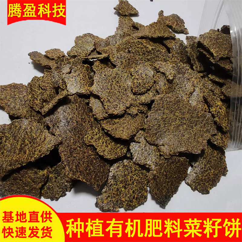 批发菜籽饼钓鱼打窝料牛羊养殖饲料添加果树种植有机肥料