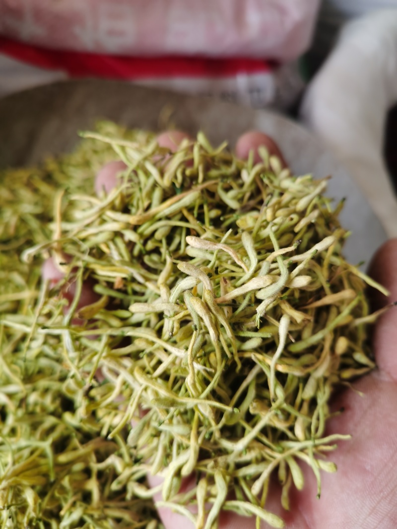金银花新货金银花颜色好批发零售各种中药材
