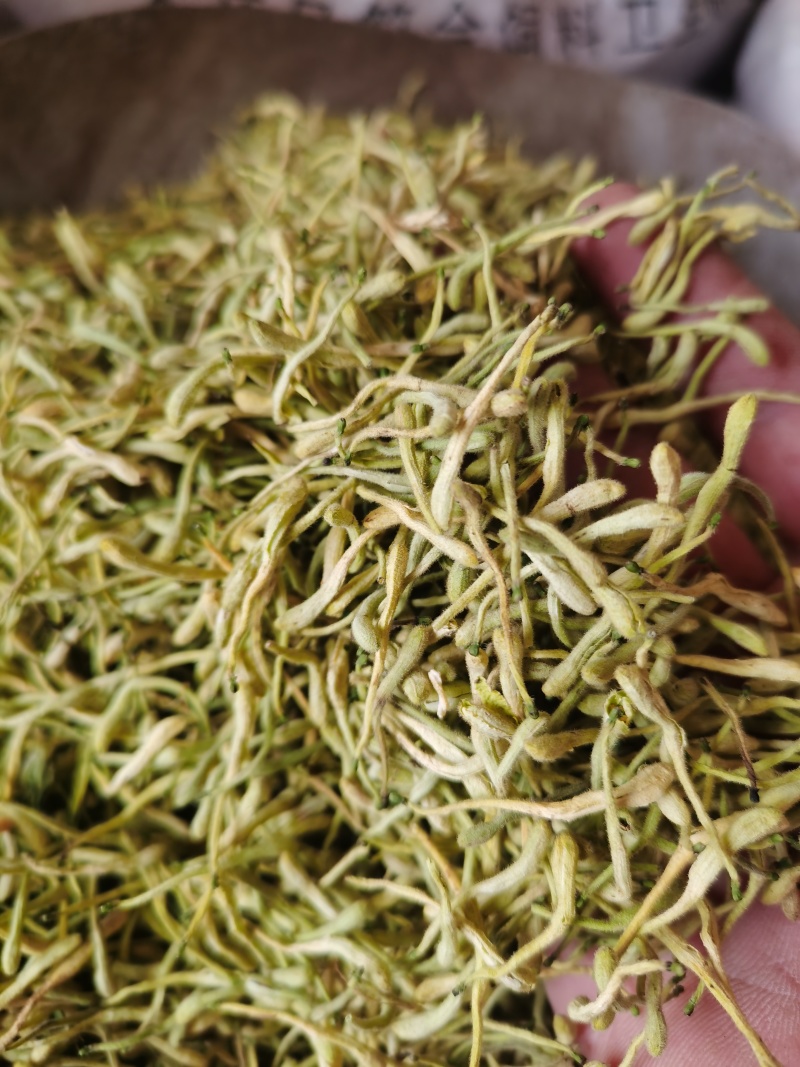 金银花新货金银花颜色好批发零售各种中药材