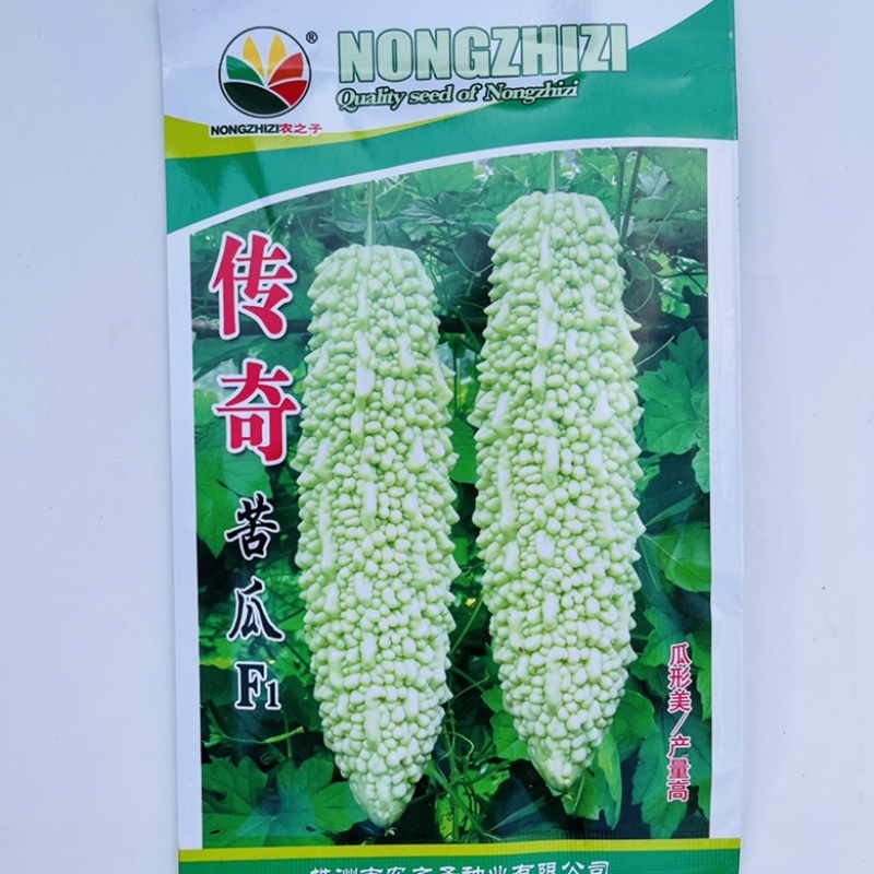 春丽苦瓜种子杂交一代，早熟品种白绿苦瓜品种种子