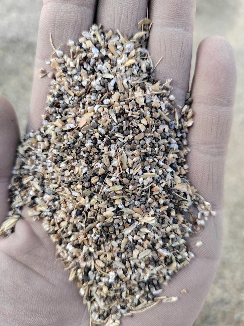优质碎小麦小麦下脚料，养殖鸡鸭鹅