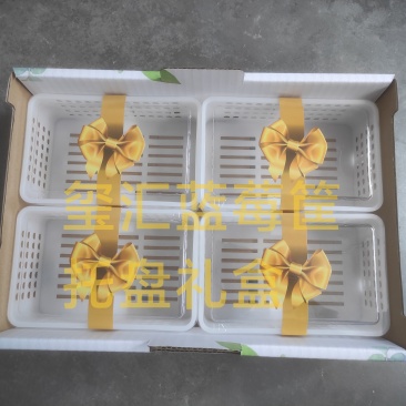 蓝莓筐