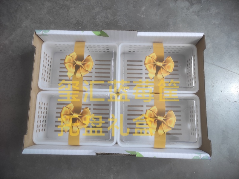 蓝莓筐