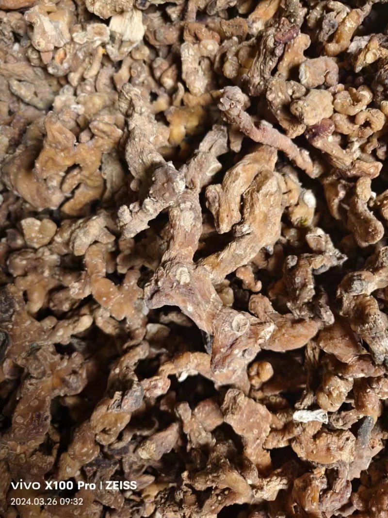 黄精干货野生种植混合在一起非常漂亮的干货黄精