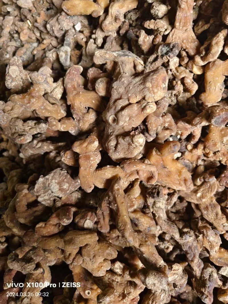 黄精干货野生种植混合在一起非常漂亮的干货黄精