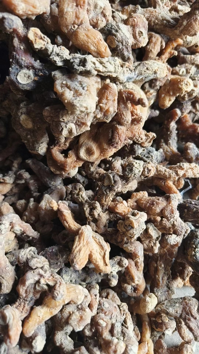 黄精干货野生种植混合在一起非常漂亮的干货黄精