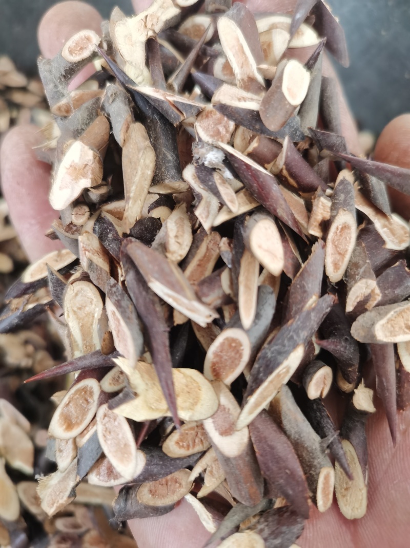 皂角刺皂刺自己加工的正品批发零售各种中药材