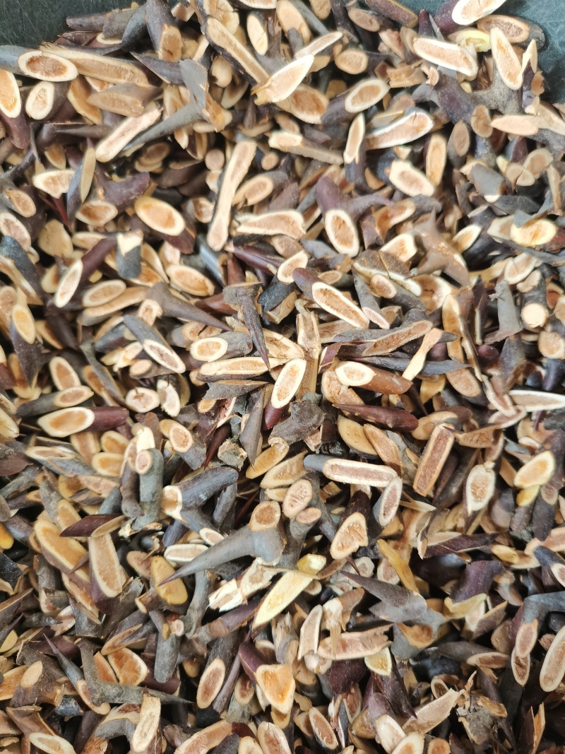 皂角刺皂刺自己加工的正品批发零售各种中药材