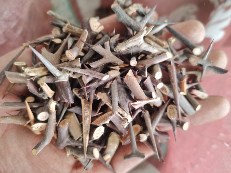 皂角刺皂刺自己加工的正品批发零售各种中药材