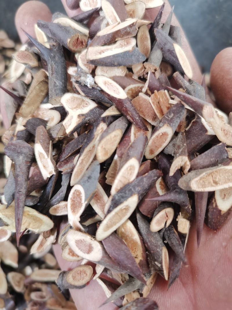 皂角刺皂刺自己加工的正品批发零售各种中药材