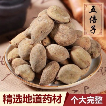 五倍子五贝子圆贝质量保证，批发零售各种中药材