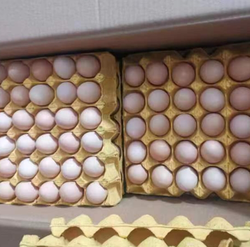 河北鸡蛋、粉壳鸡蛋，鸡蛋批发