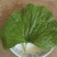 山葵叶片