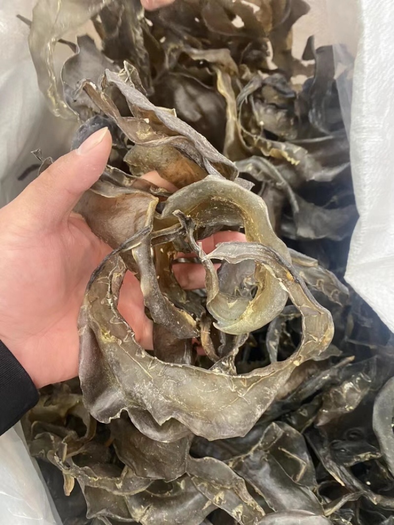 甲鱼裙边水鱼裙边干厂家直销