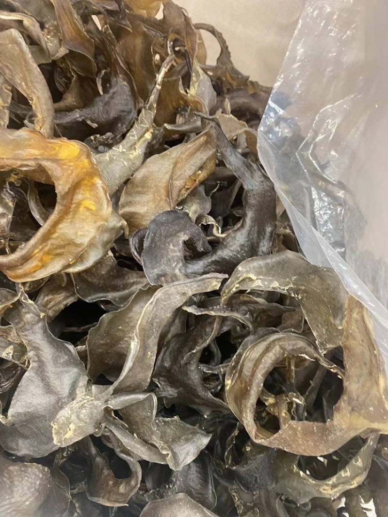 甲鱼裙边水鱼裙边干厂家直销