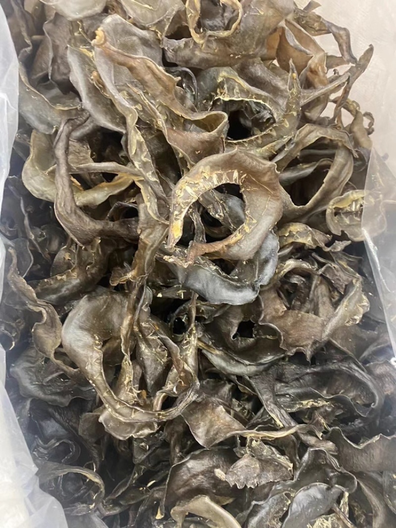 甲鱼裙边水鱼裙边干厂家直销