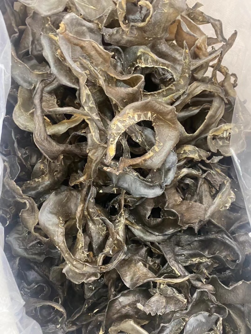 甲鱼裙边水鱼裙边干厂家直销