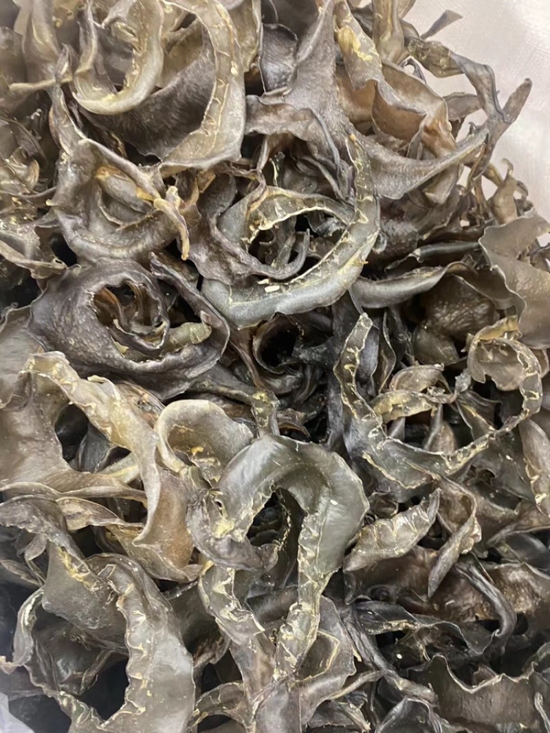 甲鱼裙边水鱼裙边干厂家直销