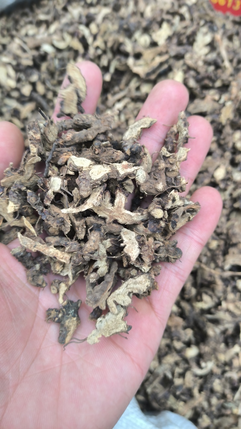 仙灵脾淫羊藿根无硫质量保证批发零售各种中药材