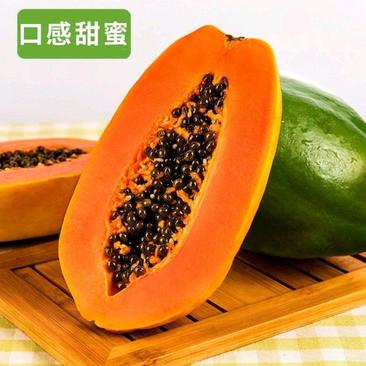 【包邮十斤装】广东惠州产地直发红心水果木瓜，甘甜可口味好